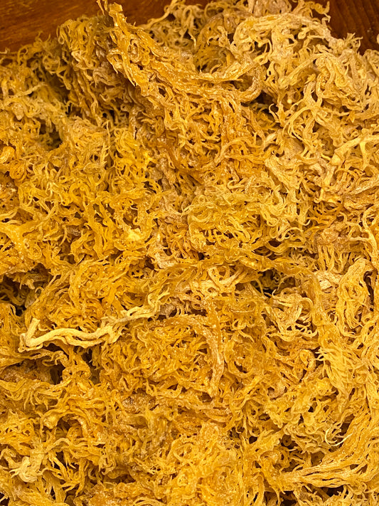 Gold Sea Moss Wildcrafted (100g)